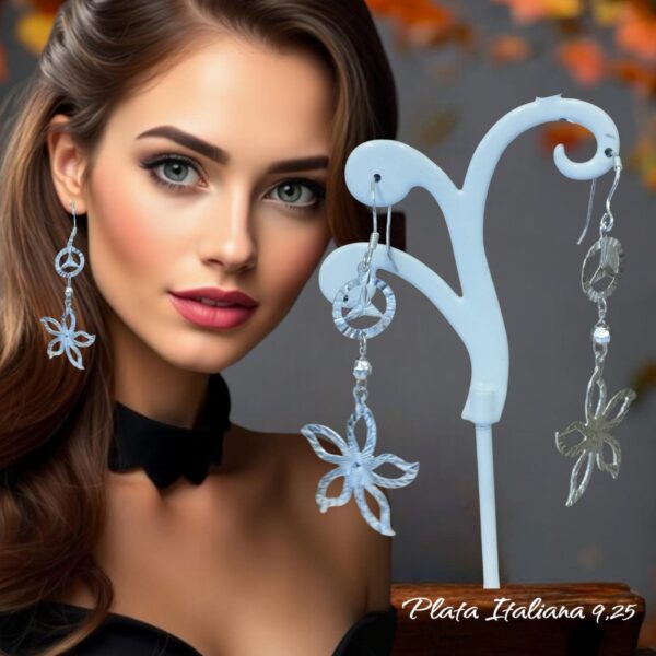 ARETES DE PLATA - Imagen 6